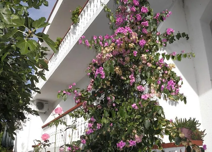 Apartment Pere Povljana